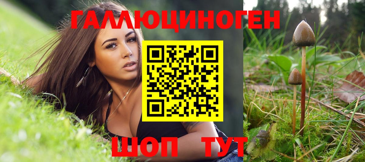 Петрозаводск  где продают наркотики  Вход с VPN  Псилоцибиновые грибы Psilocybe 